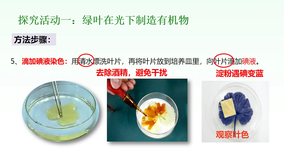 18155929第7页