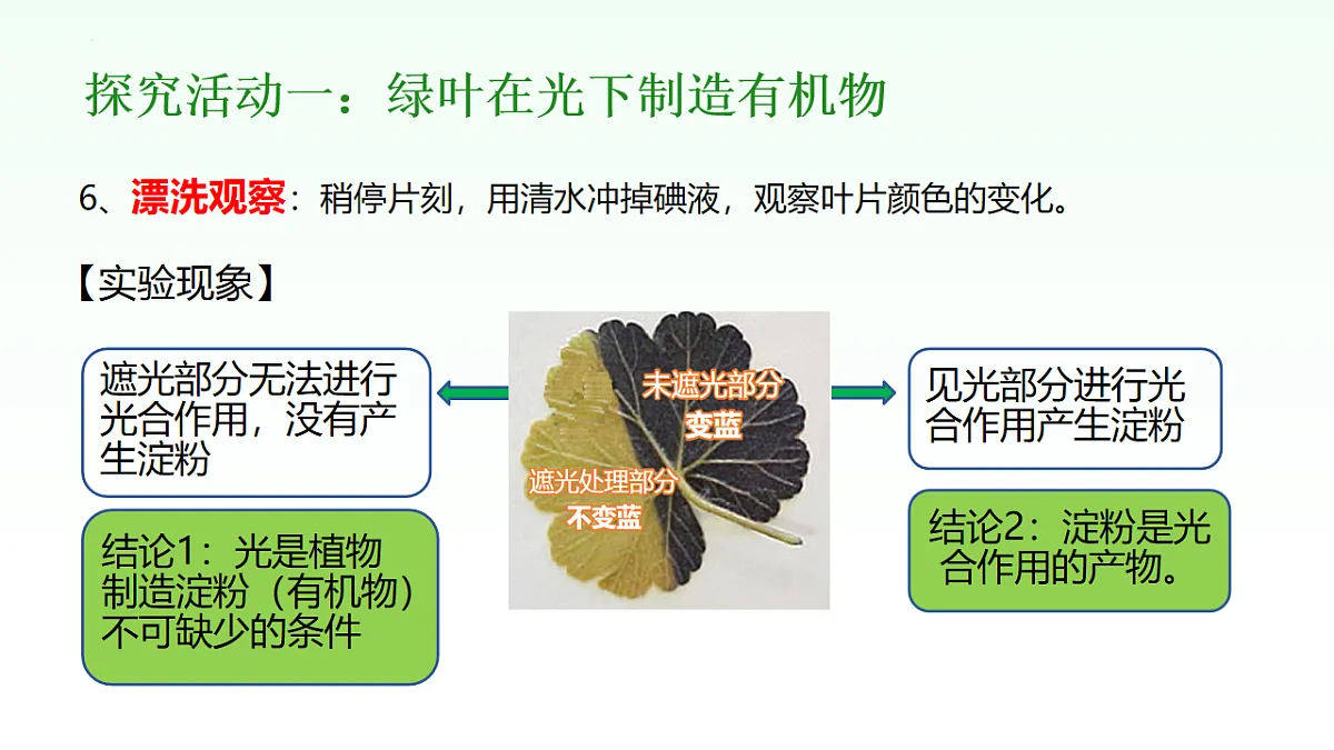 18155929第8页