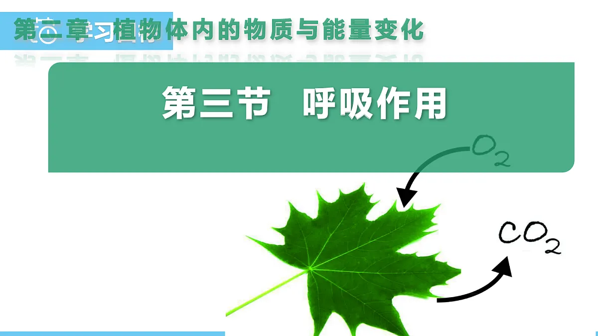 18155930第1页