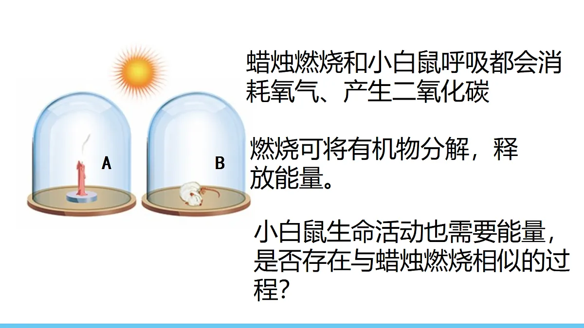18155930第2页