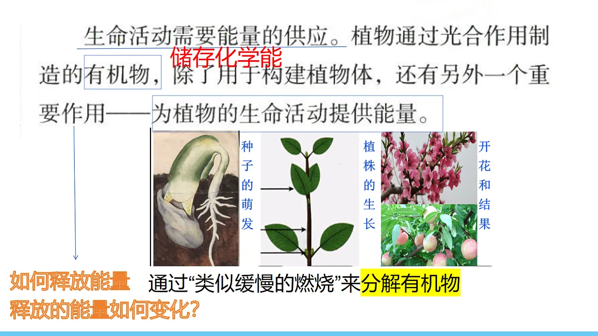 18155930第3页