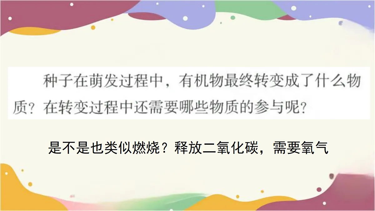 18155930第6页