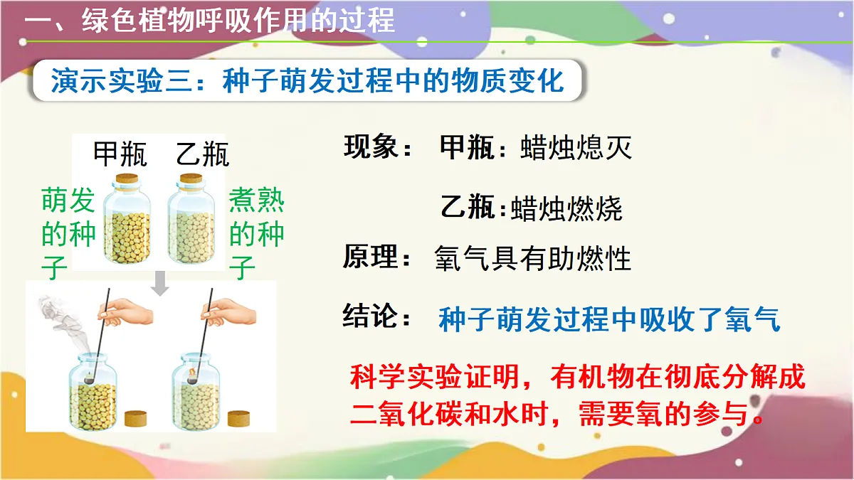 18155930第8页