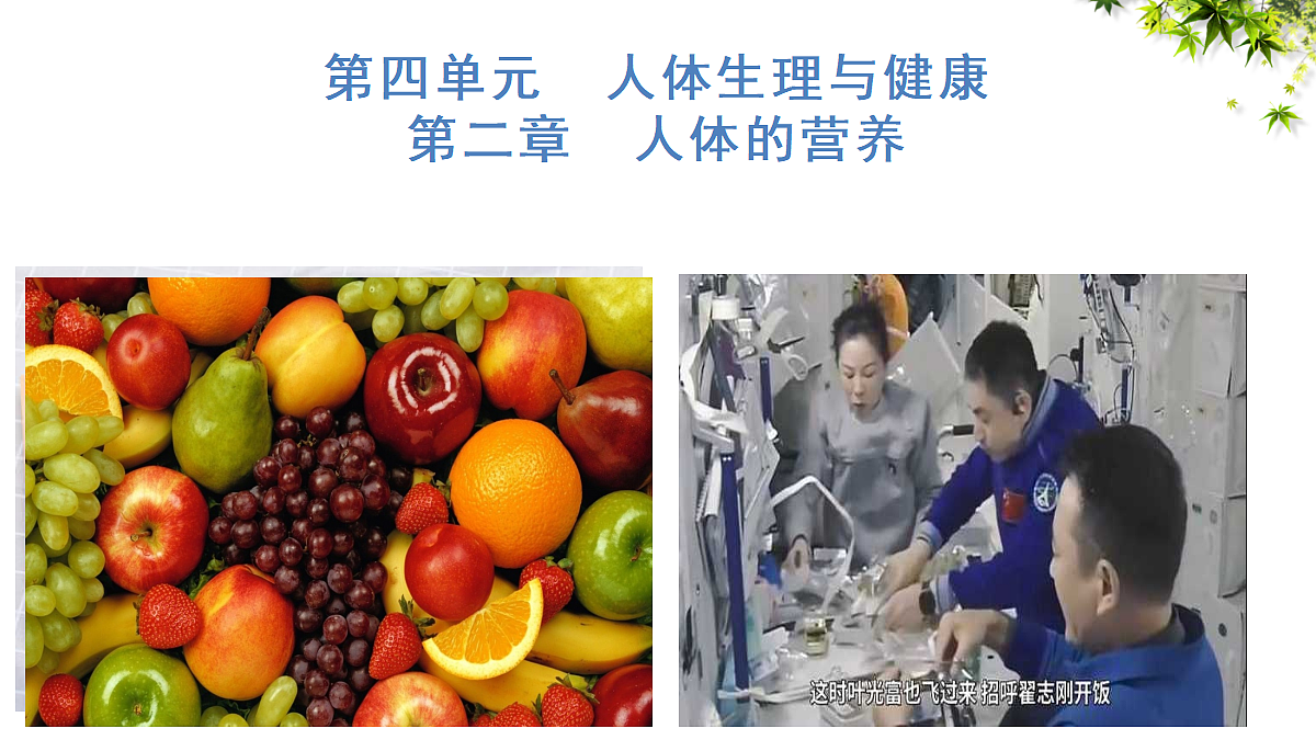 18155935第1页