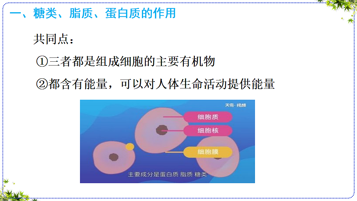 18155935第4页