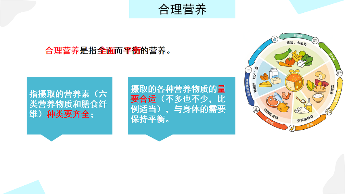18155936第4页