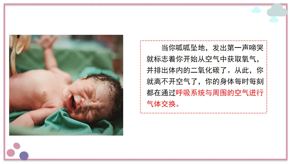 18155937第5页