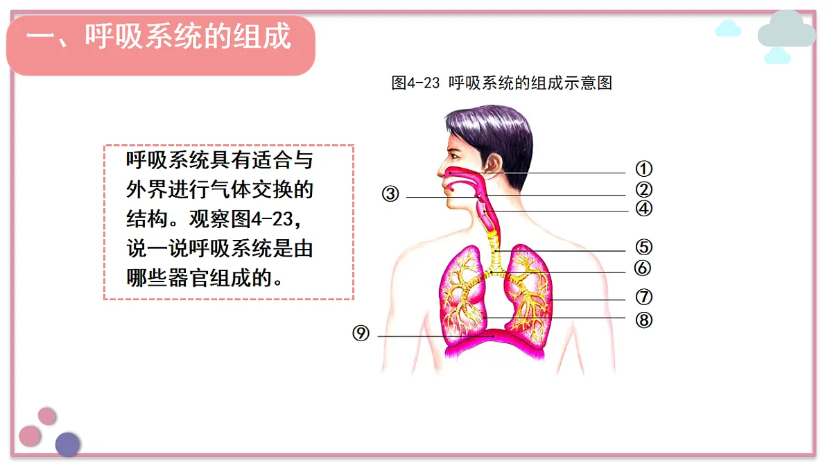 18155937第6页