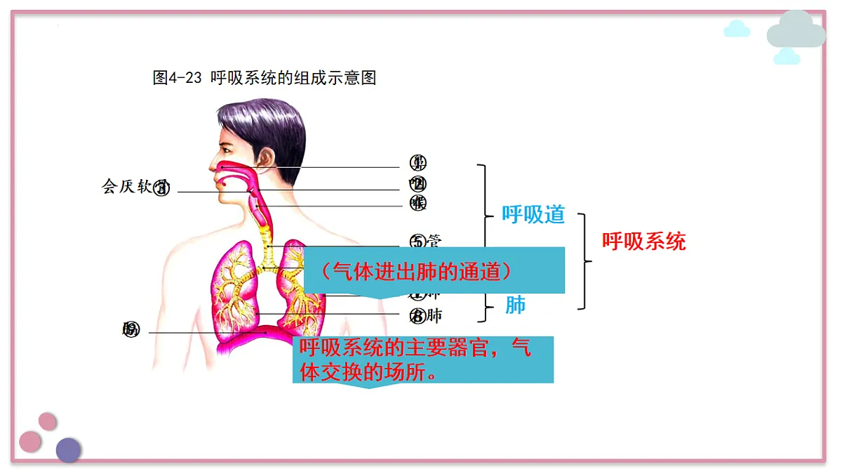 18155937第7页