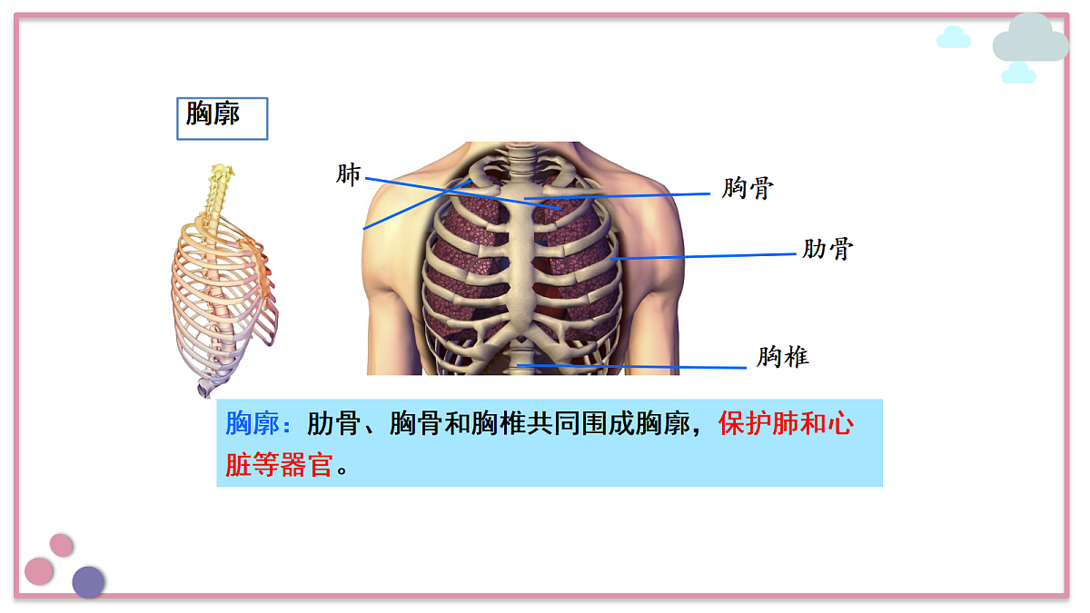 18155938第6页