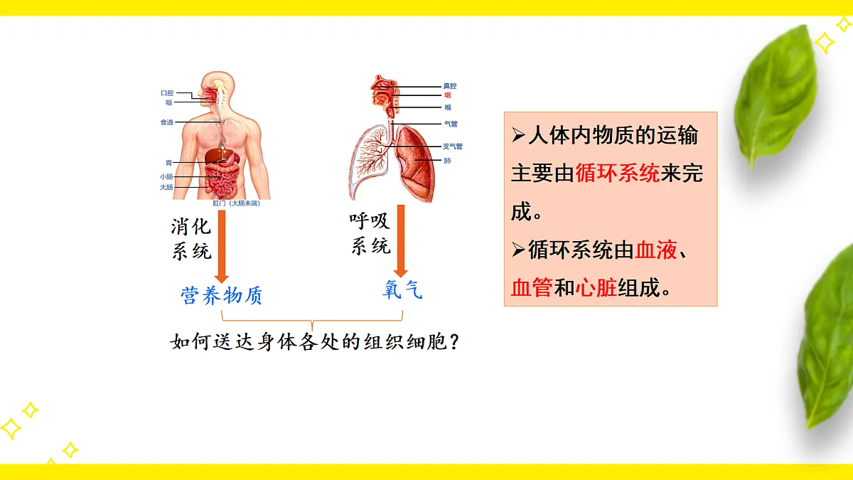 18155939第1页