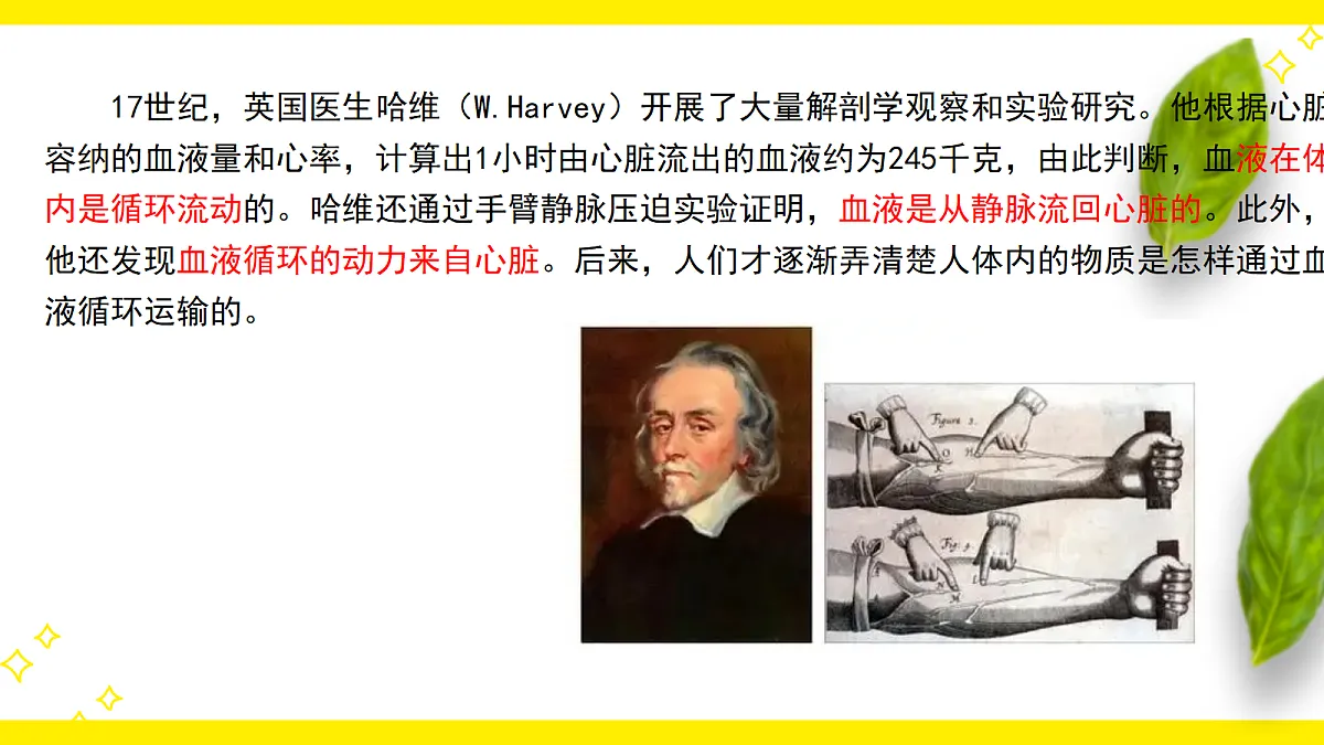 18155939第2页