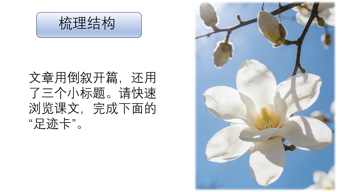 18155970第7页