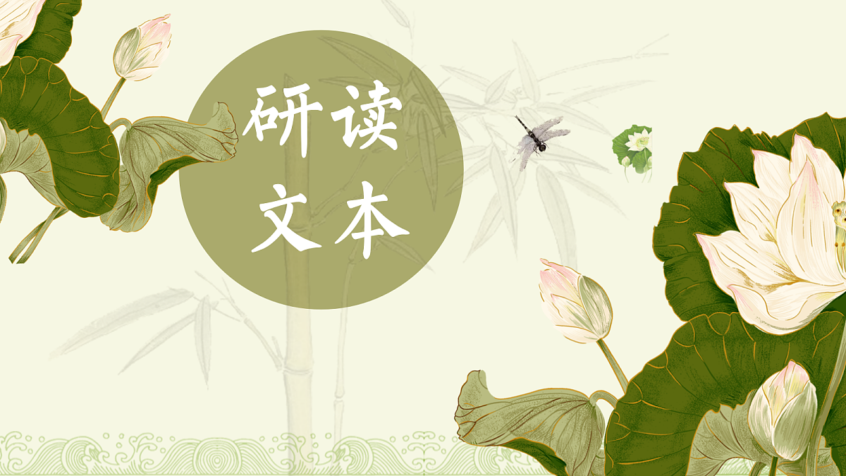 18155971第5页
