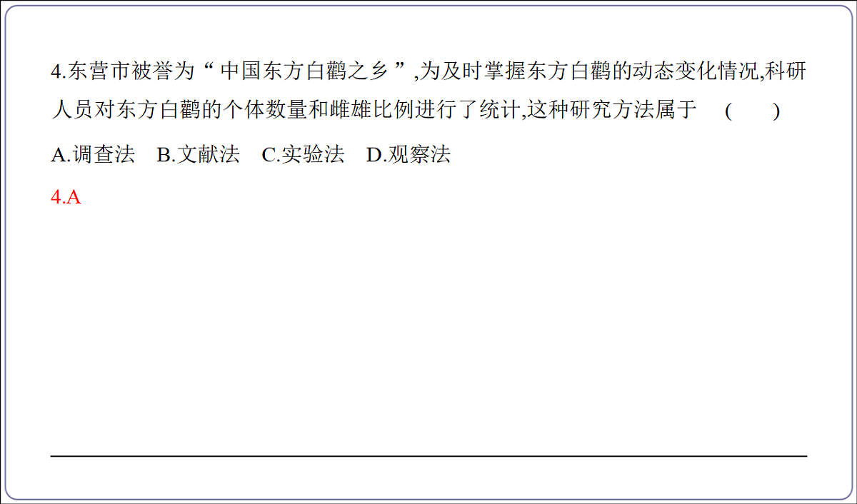 18156043第7页