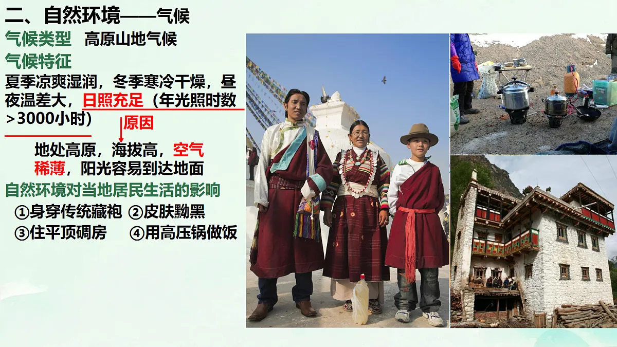 18156083第3页