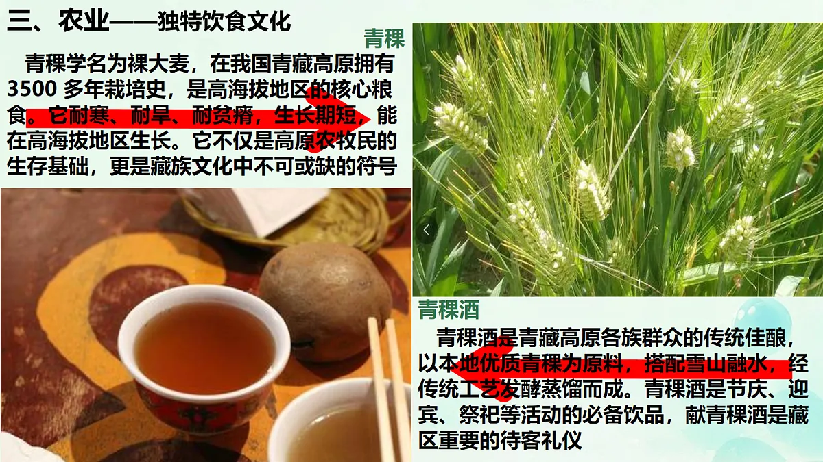 18156083第7页