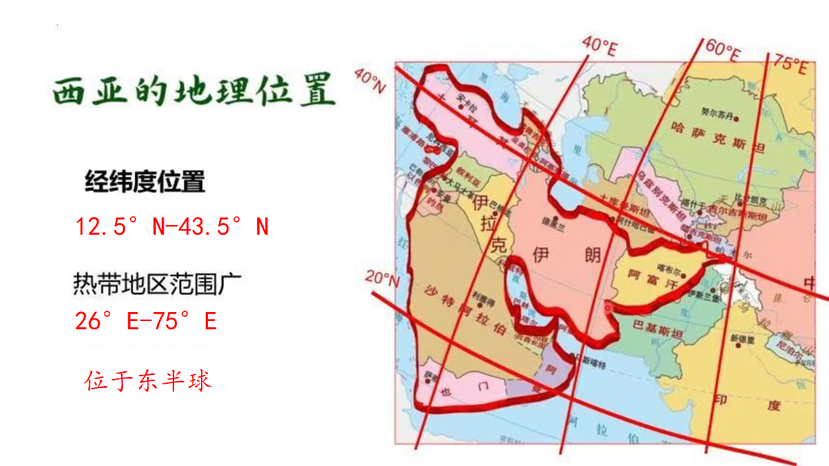 18156923第4页