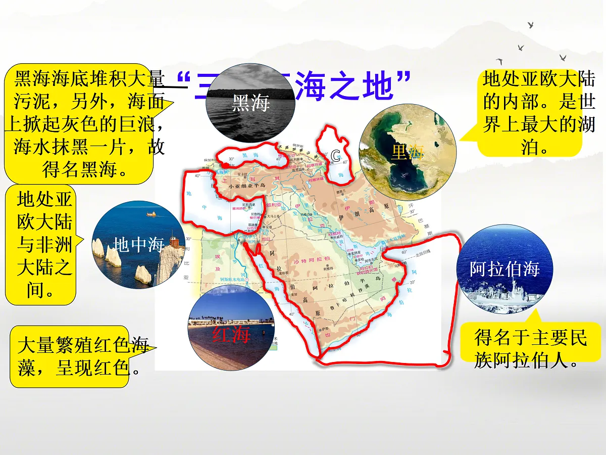 18156924第5页