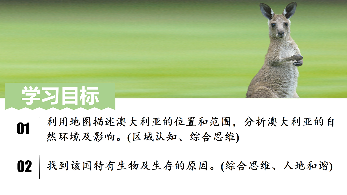 18156938第5页