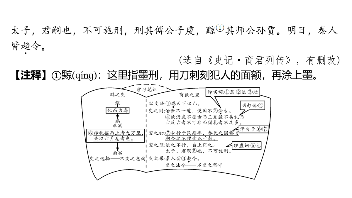 18157241第4页