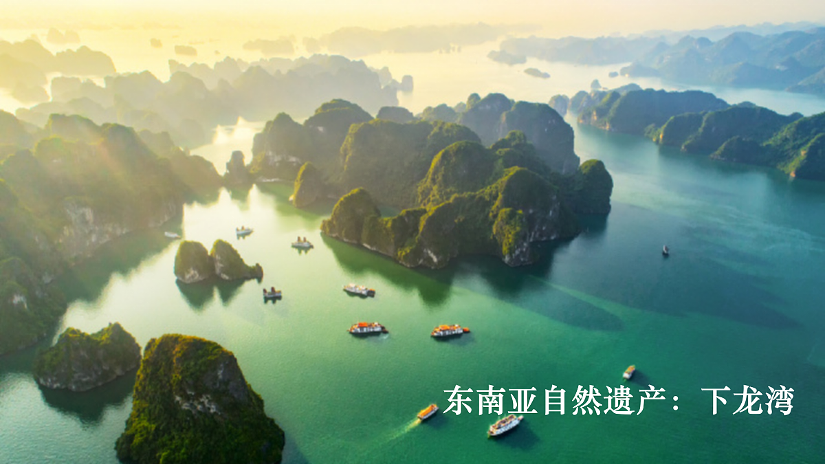 18157270第5页