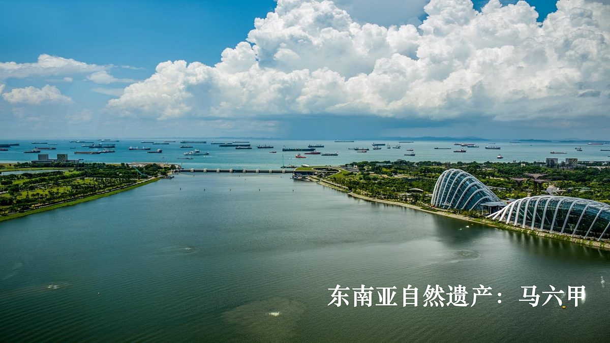 18157270第6页