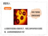 12.1　走进微观  课件   2025-2026学年物理沪科版（2024）八年级下册