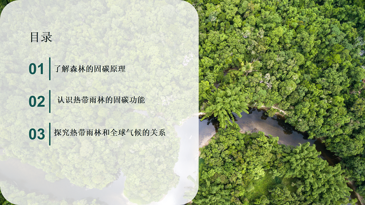 18158771第3页