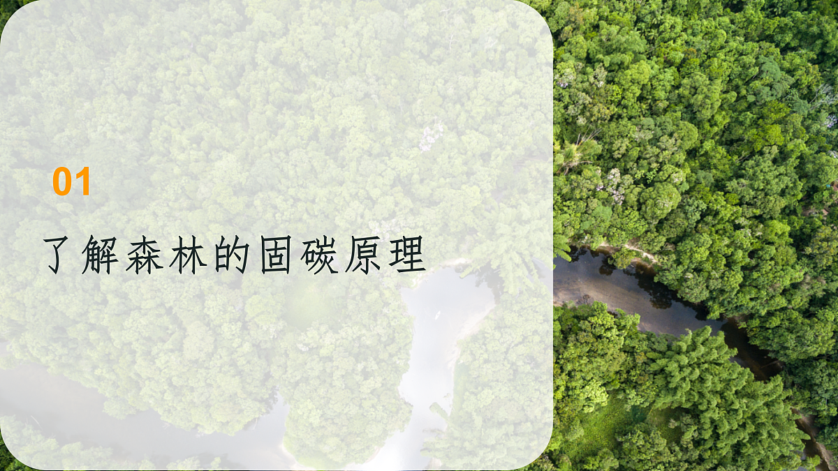 18158771第4页