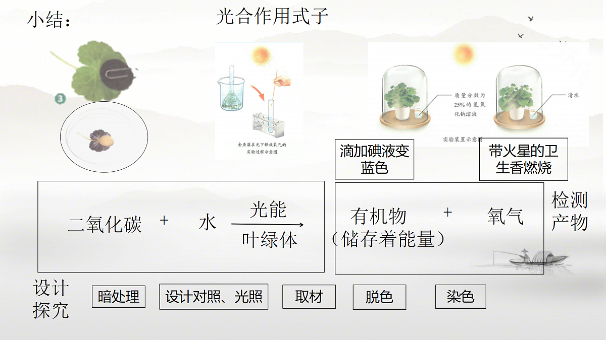18158771第5页