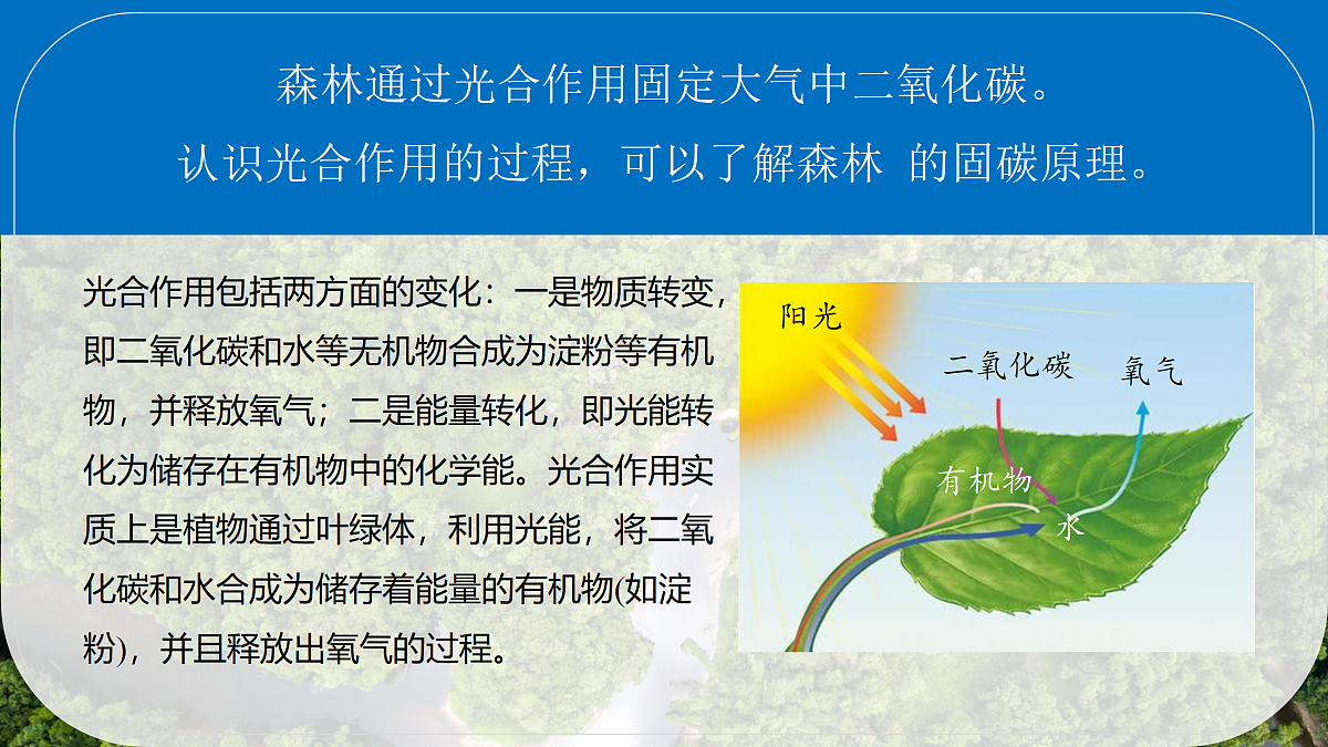 18158771第6页