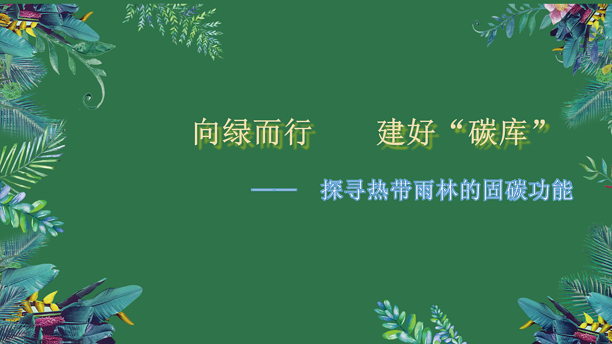 18158772第3页