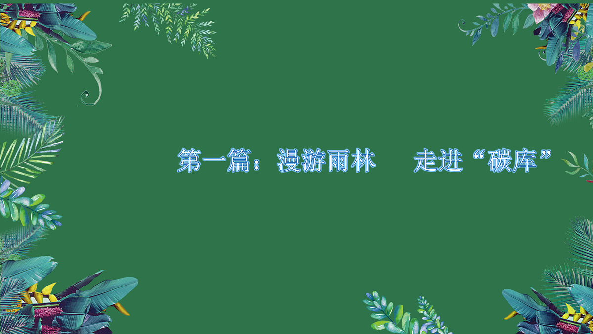 18158772第5页