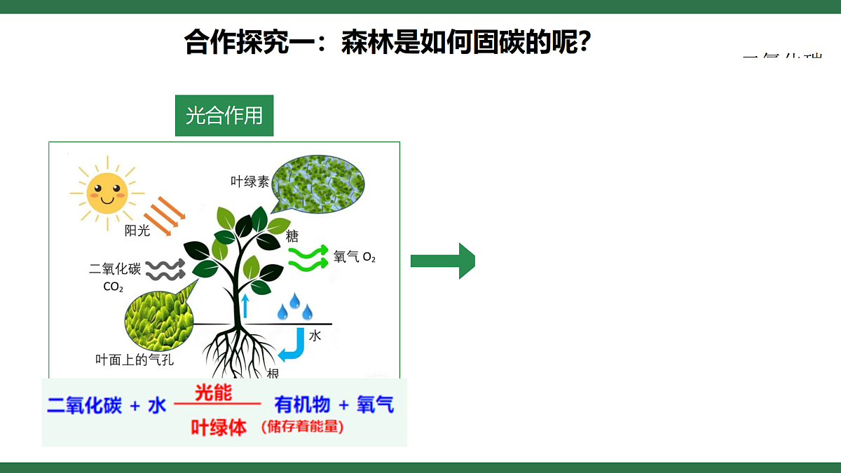 18158772第8页