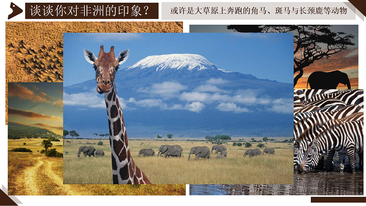 18158986第2页