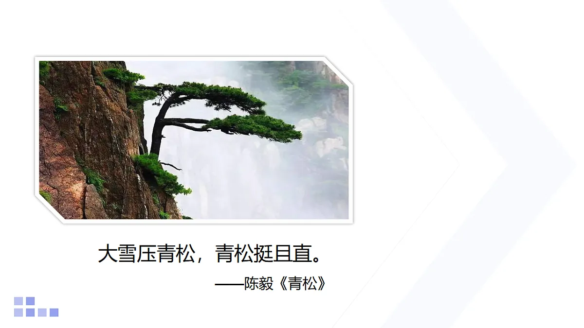 18159087第3页