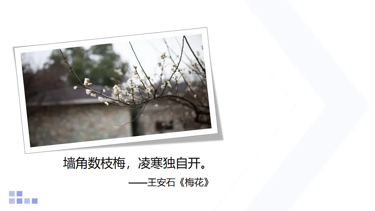 18159087第4页