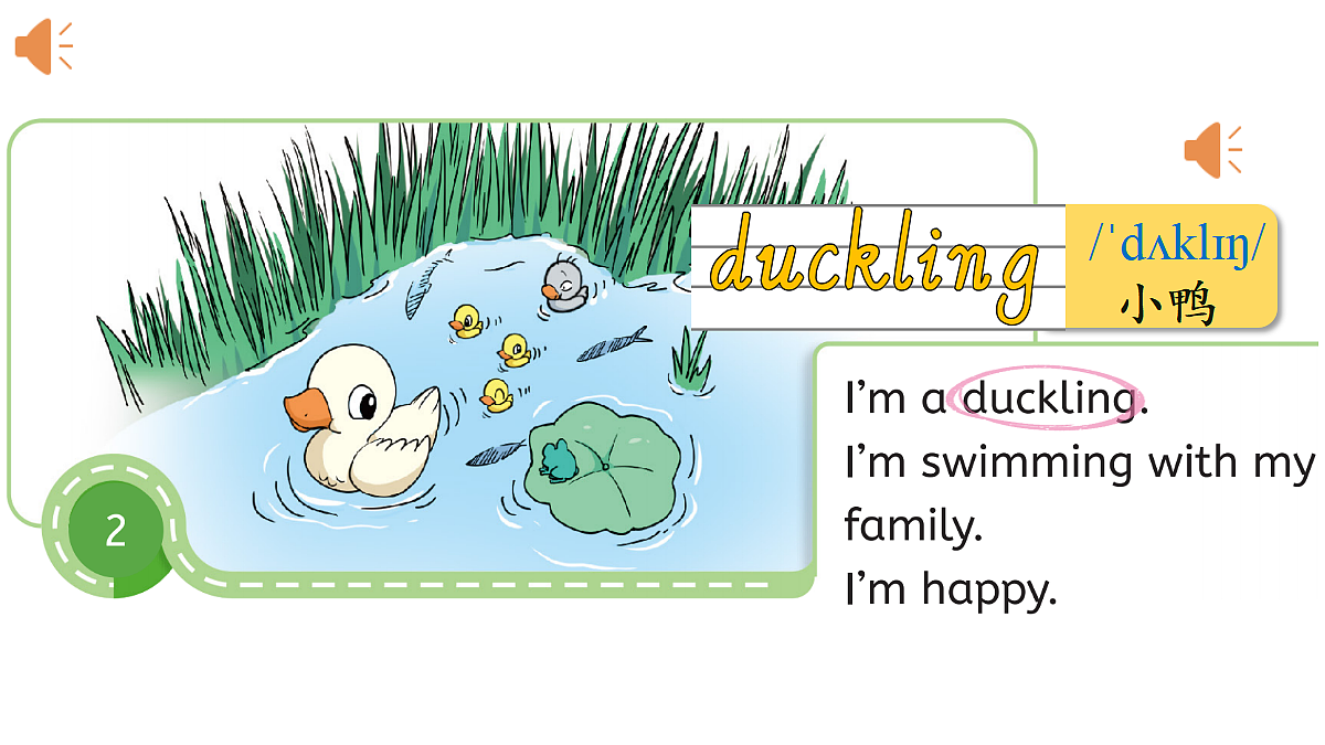 Lesson 4 I'm not a poor duckling.第4页