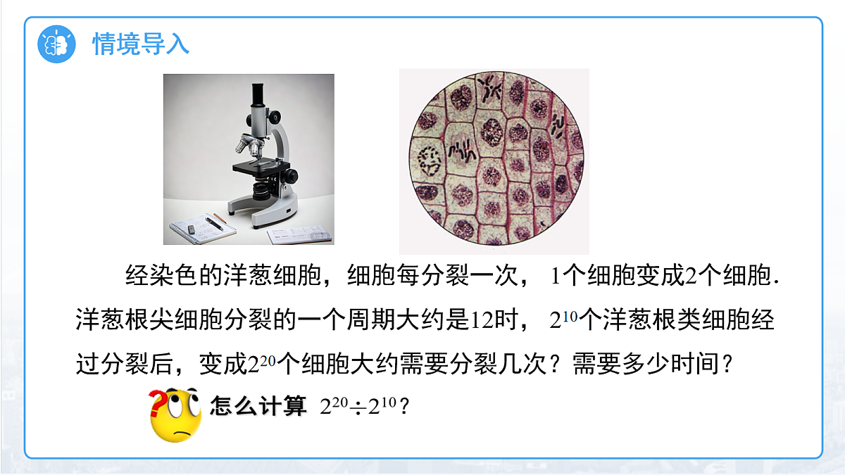 18159615第3页