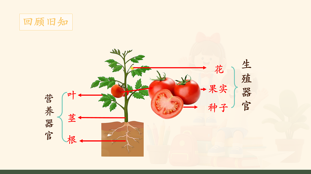 18159698第2页