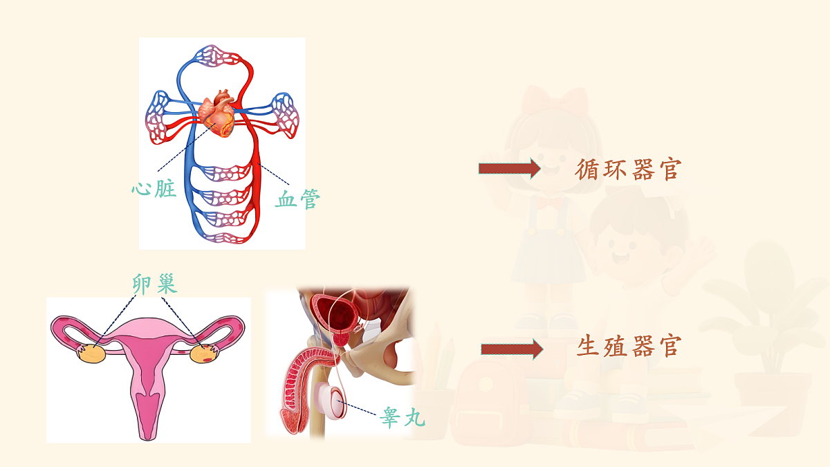 18159698第5页