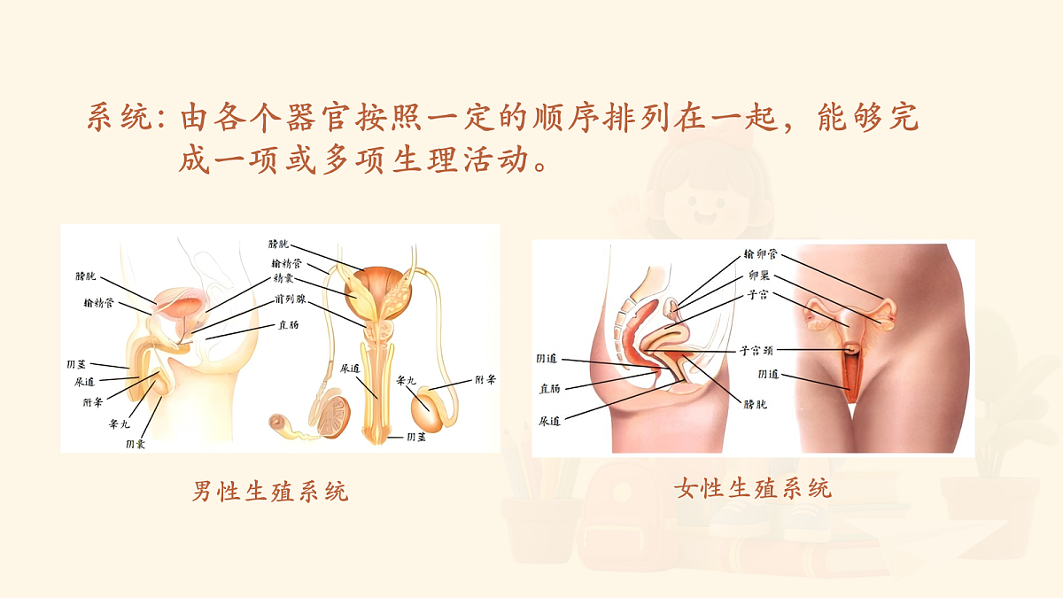 18159698第6页