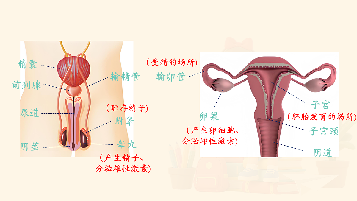 18159698第8页