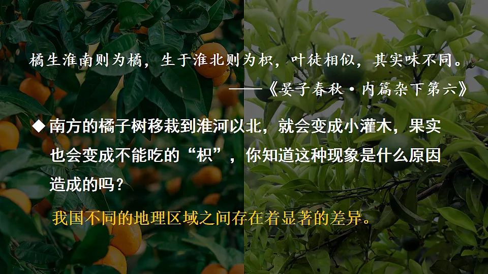 18160184第3页