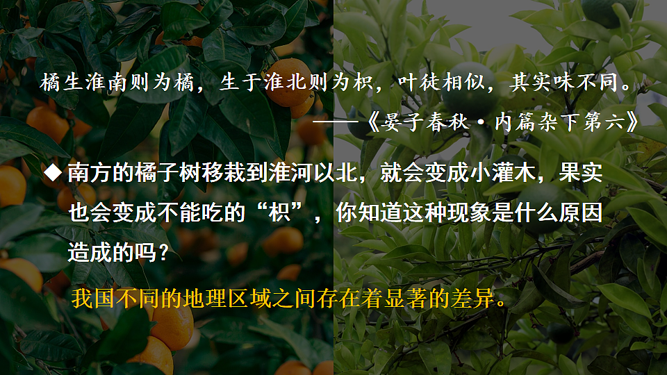 18160184第3页