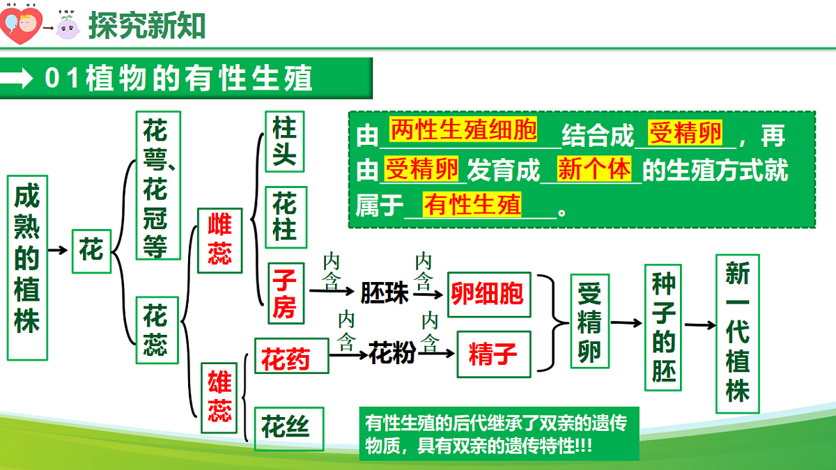 18160248第8页