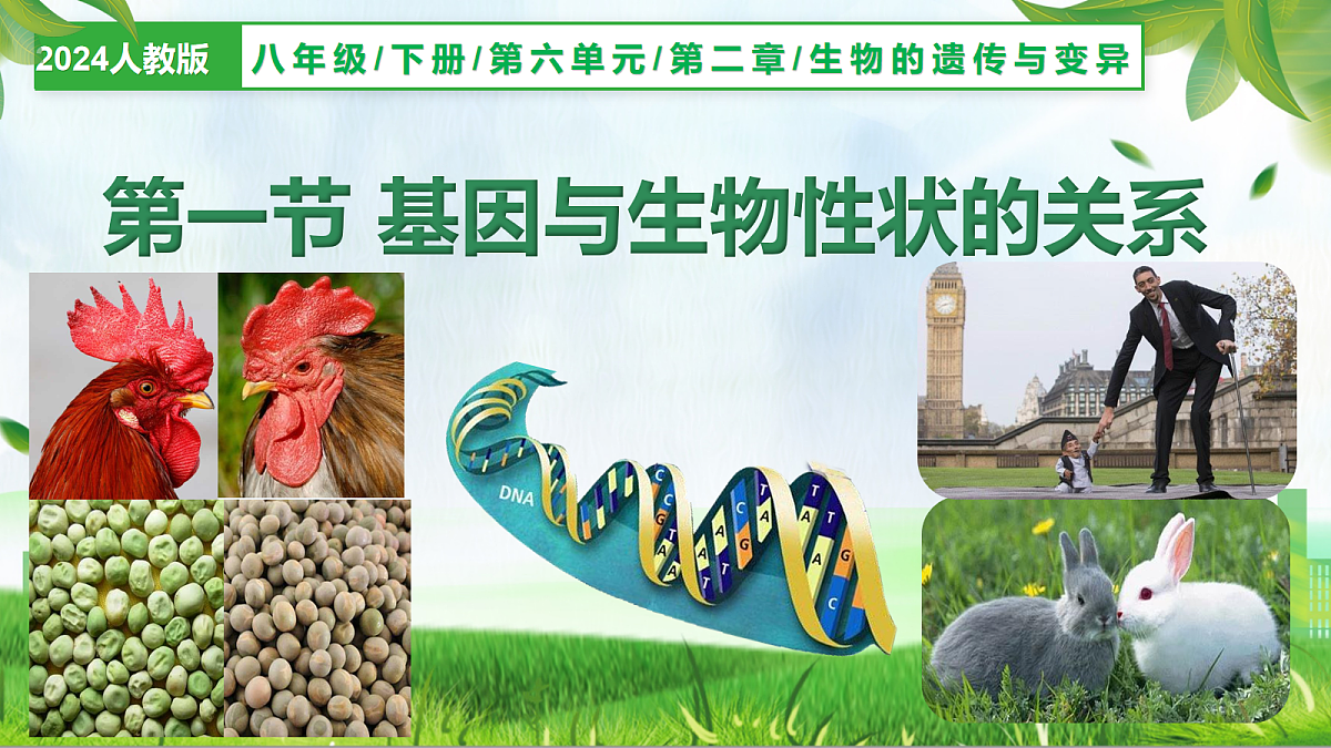 18160359第1页