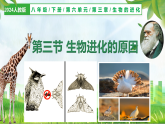 6.3.3 生物进化的原因（教学课件）生物新教材人教版八年级下册