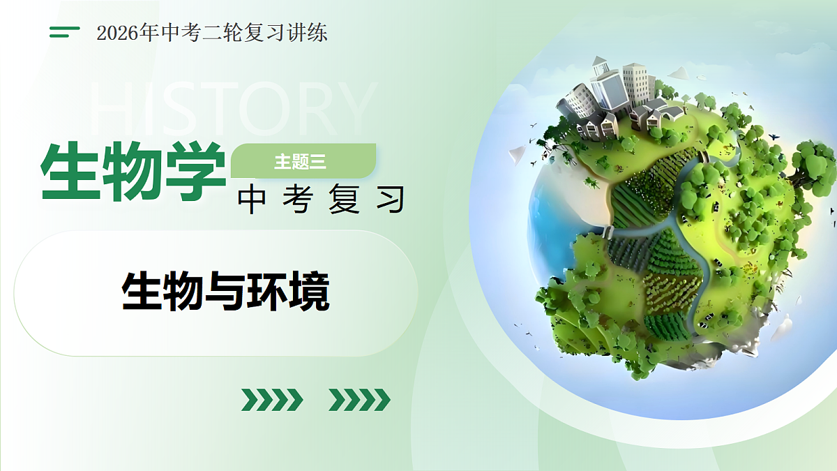18160631第1页